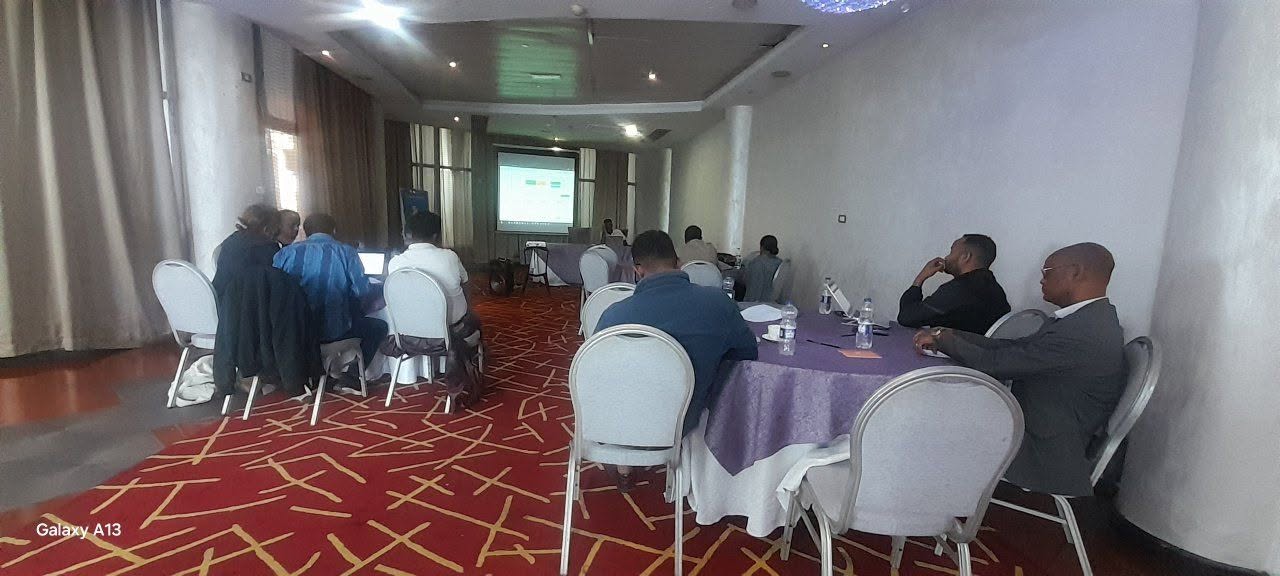 Presenting RevProHub to national working group as potential platform for training in Ethiopia